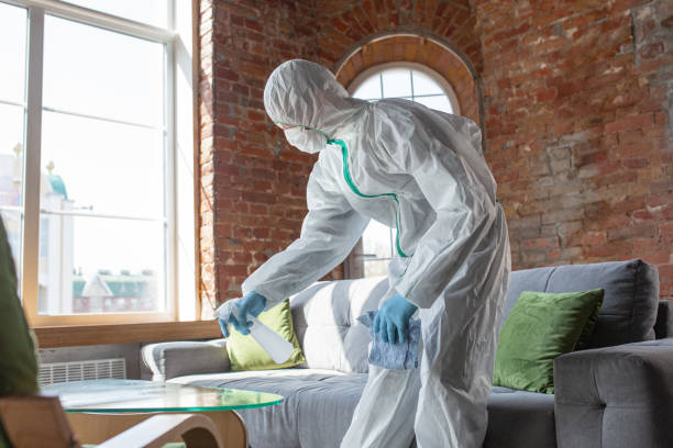 Trusted Ardmore, TN Mold Removal Services Experts